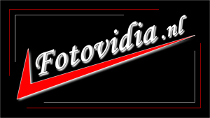 Fotovidia.nl