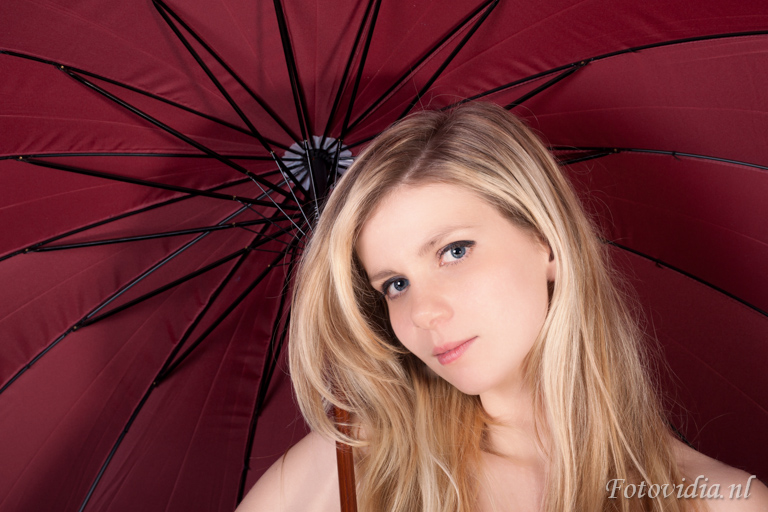 www.fotovidia.nl